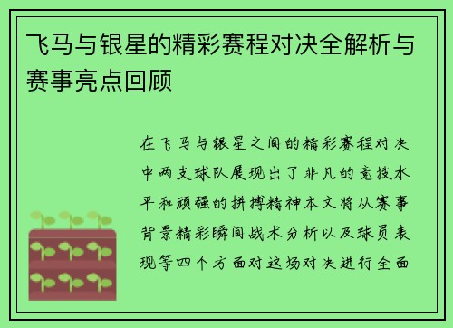 飞马与银星的精彩赛程对决全解析与赛事亮点回顾