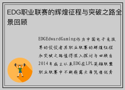 EDG职业联赛的辉煌征程与突破之路全景回顾